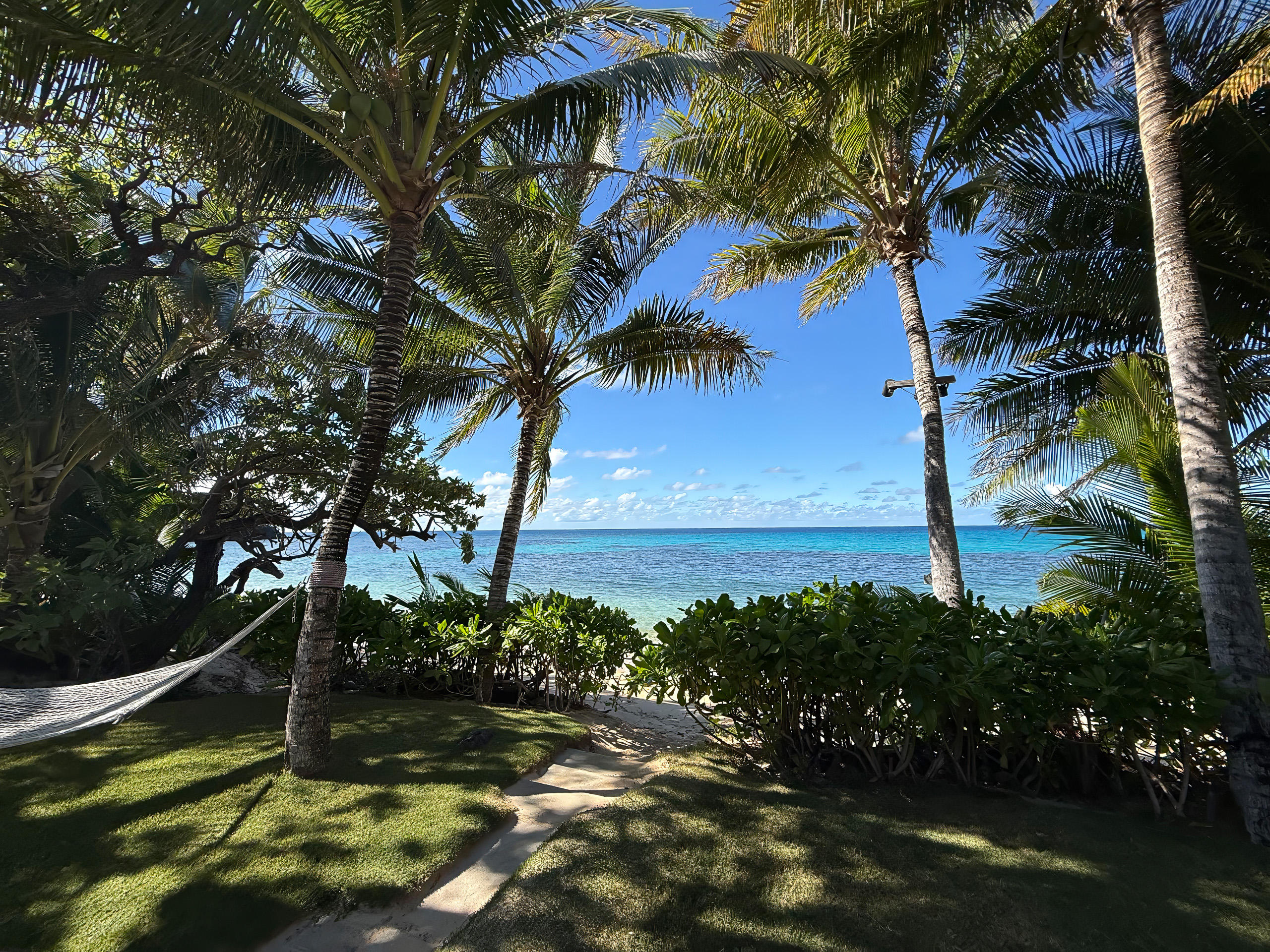 A hammock strung between the palms