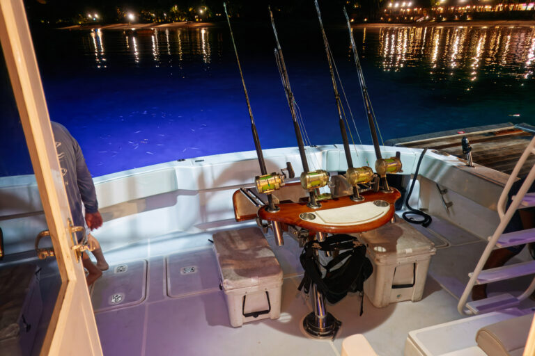 The cockpit under the deck lights, rods set, the island lit behind