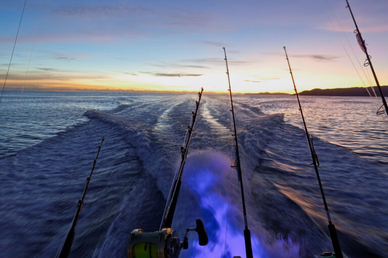 The trolling spread running out into the dawn wake