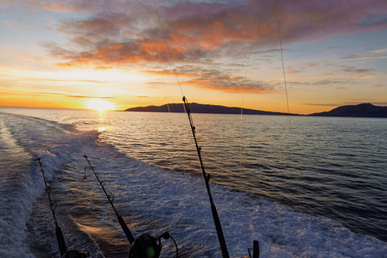 The sun coming up behind the island as the spread runs