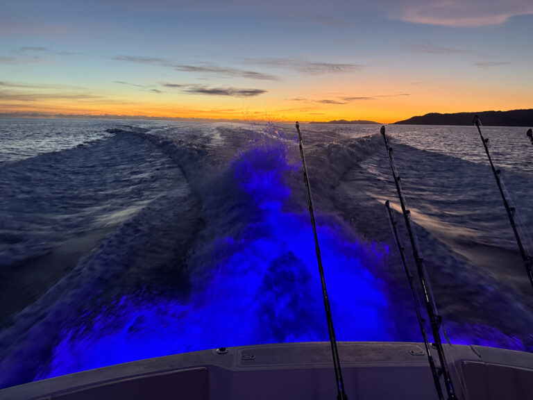 Underwater lights turning the wake blue at dusk