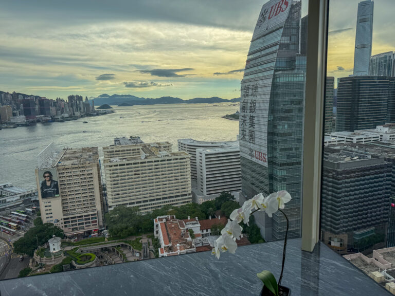 Late light across the harbour, an orchid on the sill