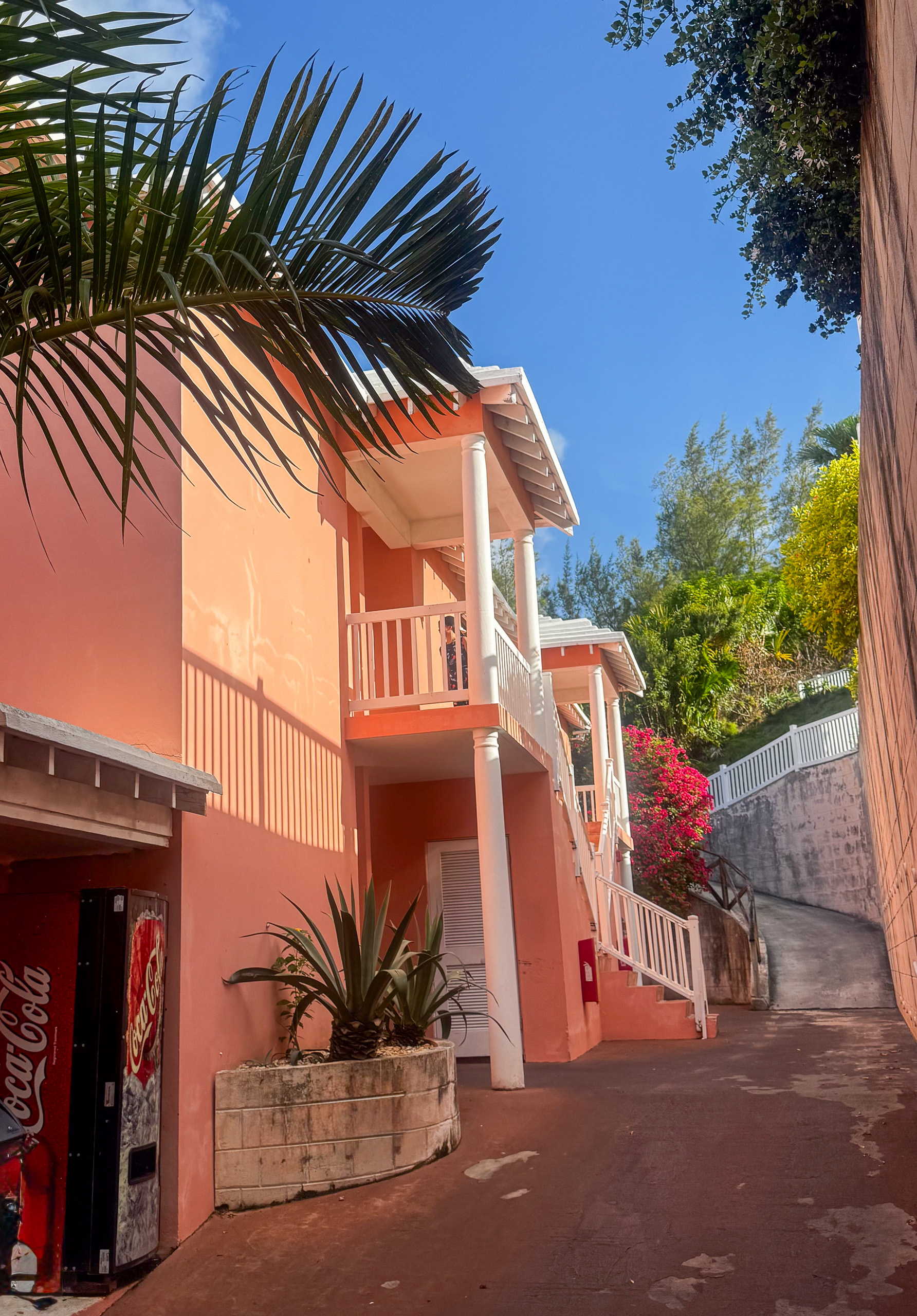 Salmon-pink cottages stepping down the path to the water