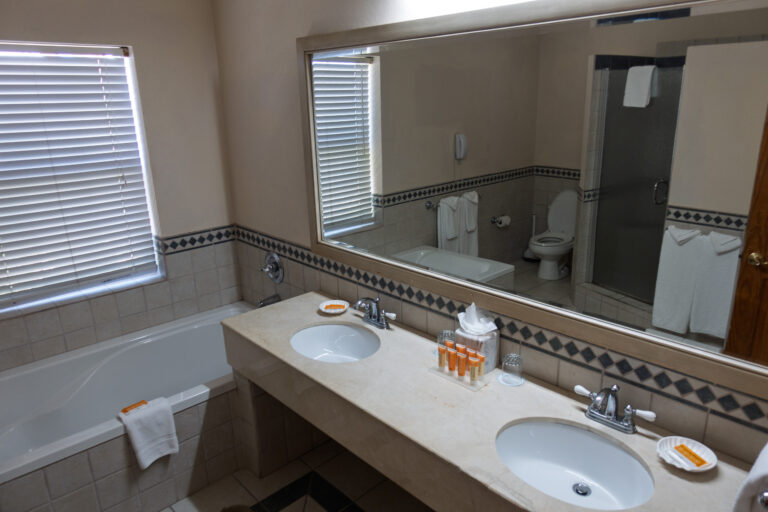 The bathroom's double vanity under a long mirror