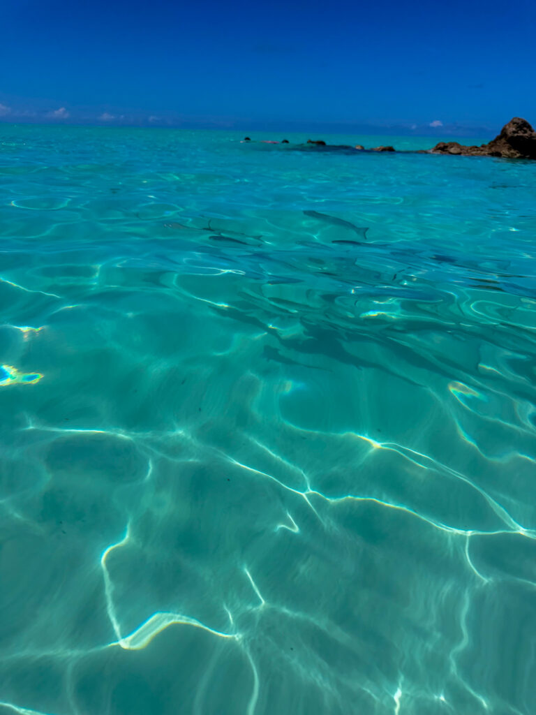 Clear water running over pale sand beside the rocks