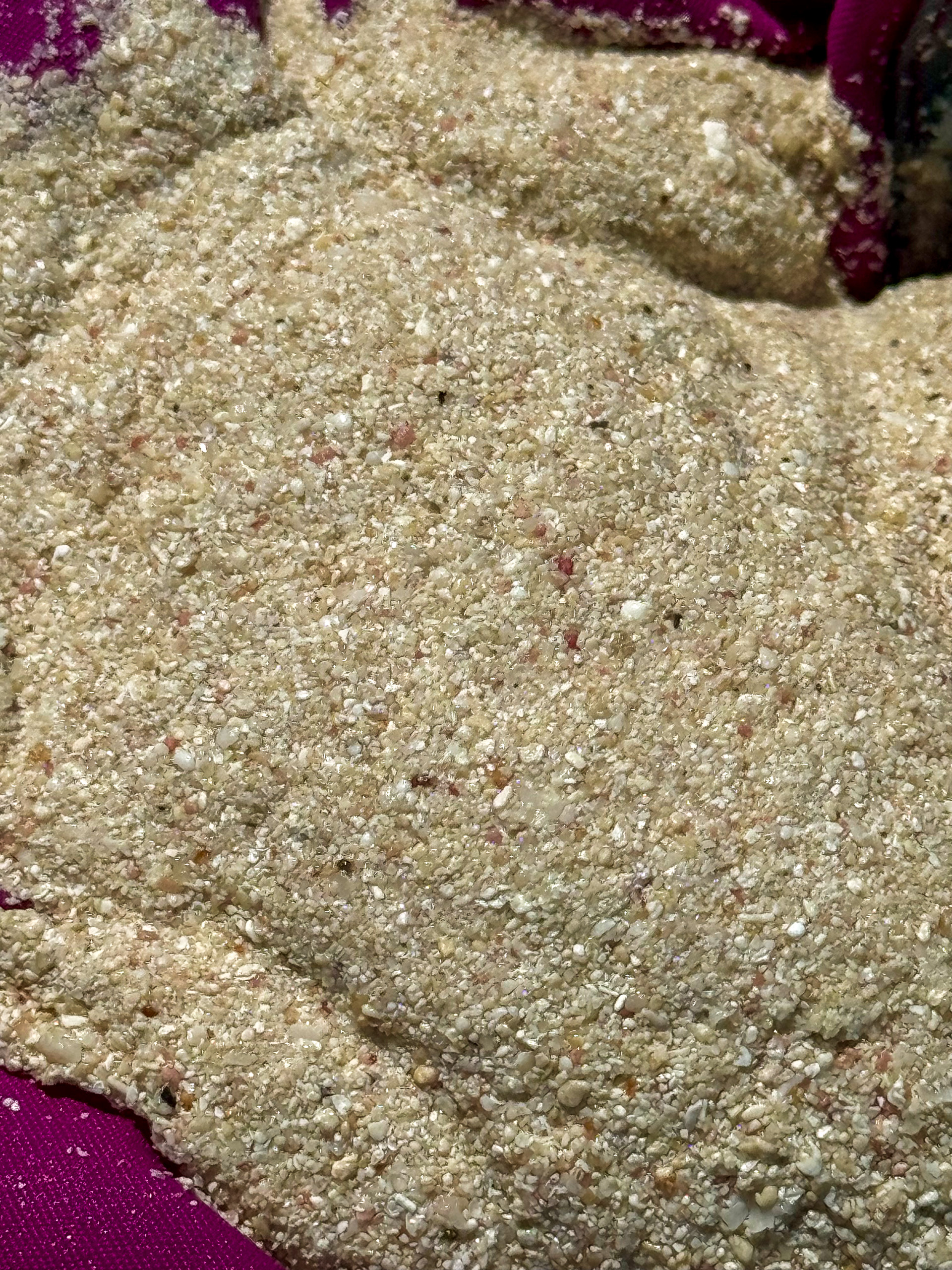 The sand close up, pink where the shell has broken down into it