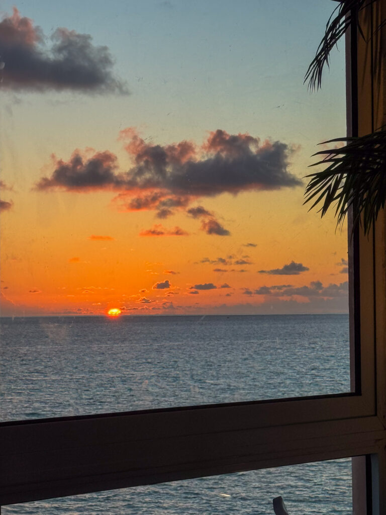 The sun going down over the sea, a palm cut black against it