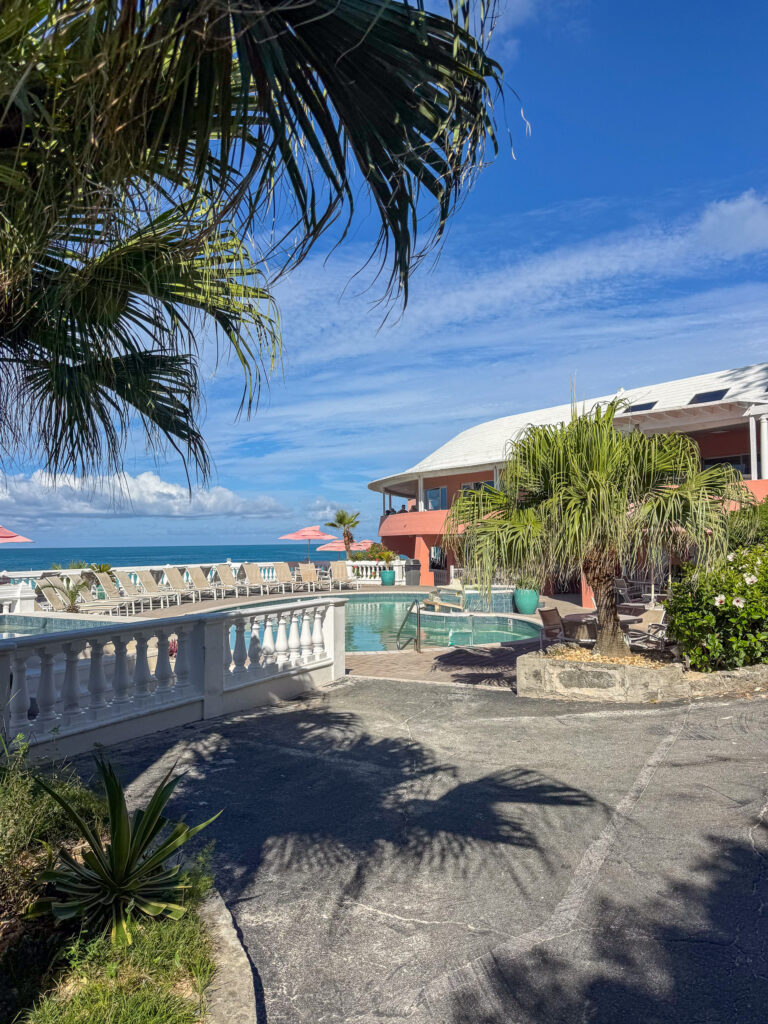 The terrace and loungers from above, palms leaning in from the left