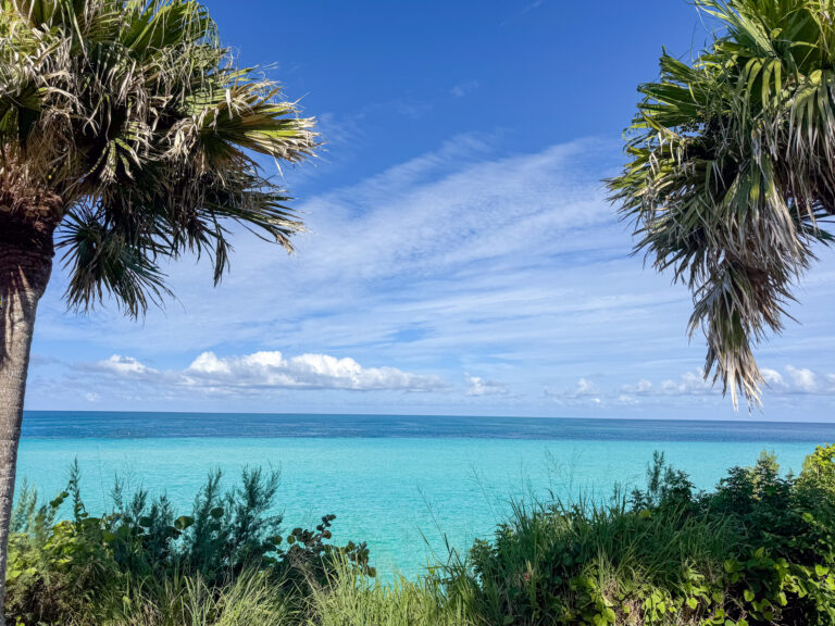 The bay seen between two palms from the top of the path