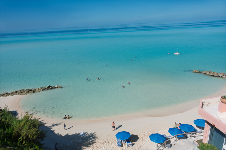 Blue umbrellas set out along the beach, seen from above