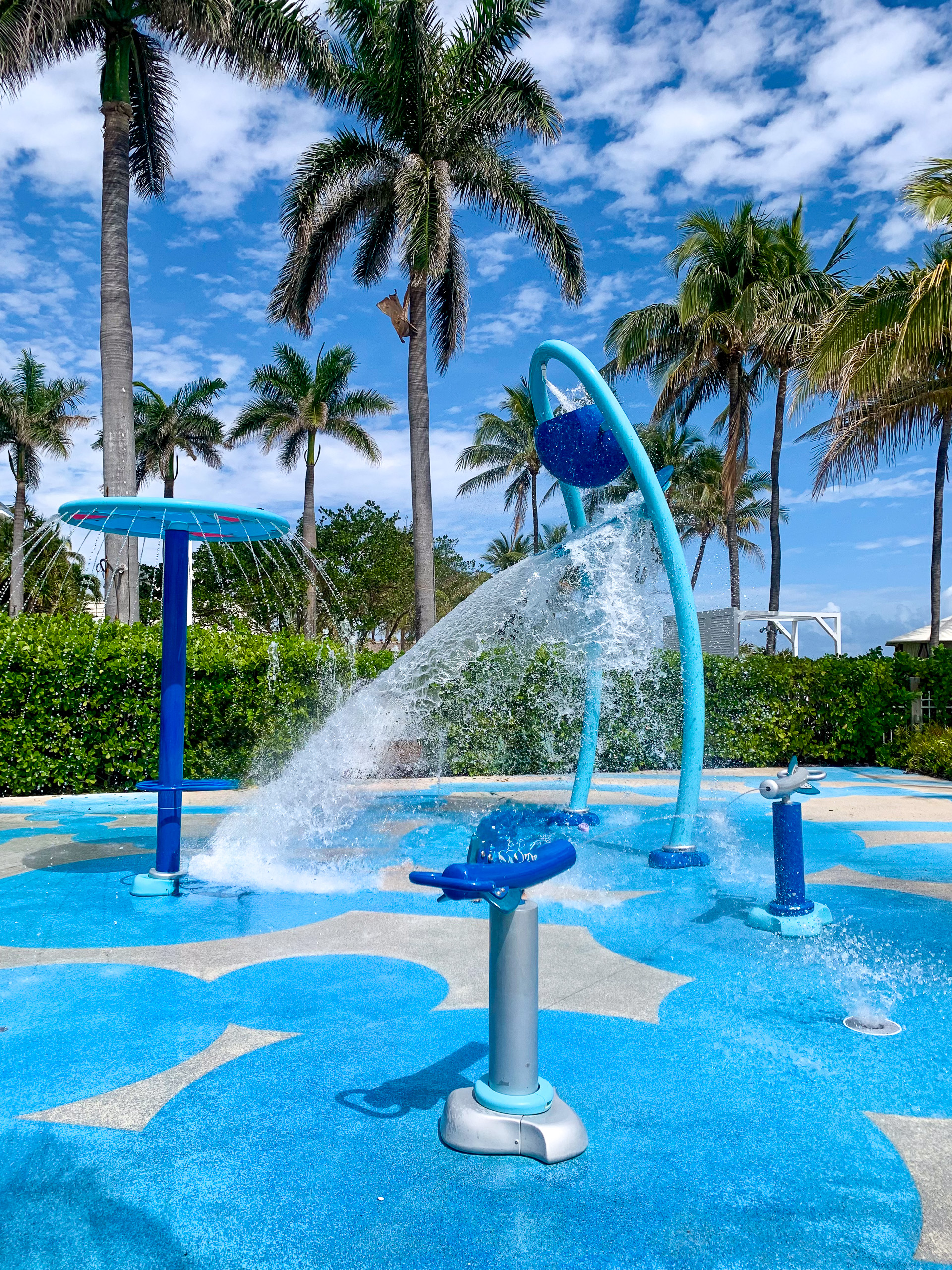 Fountains playing over the shallow pool under the palms