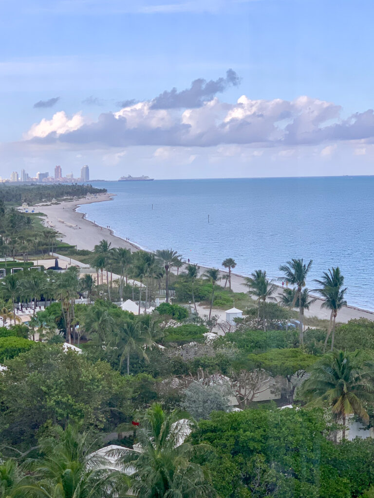 Palms and low roofs from high up, the beach running away to the left
