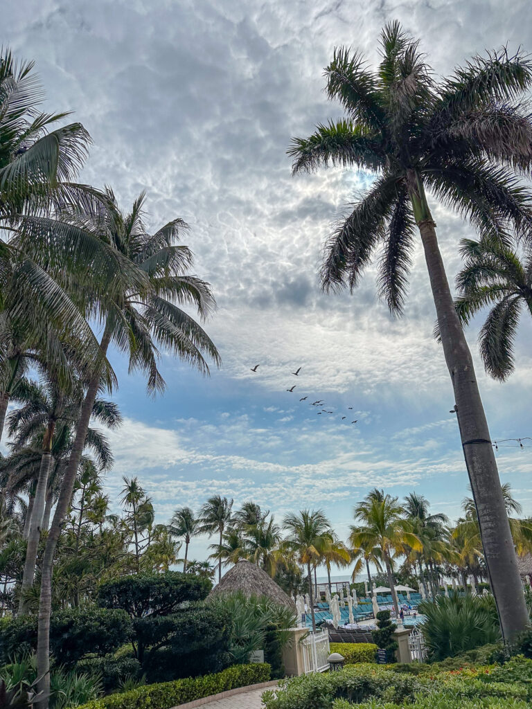 Palms bending under a grey sky, the building pale behind them