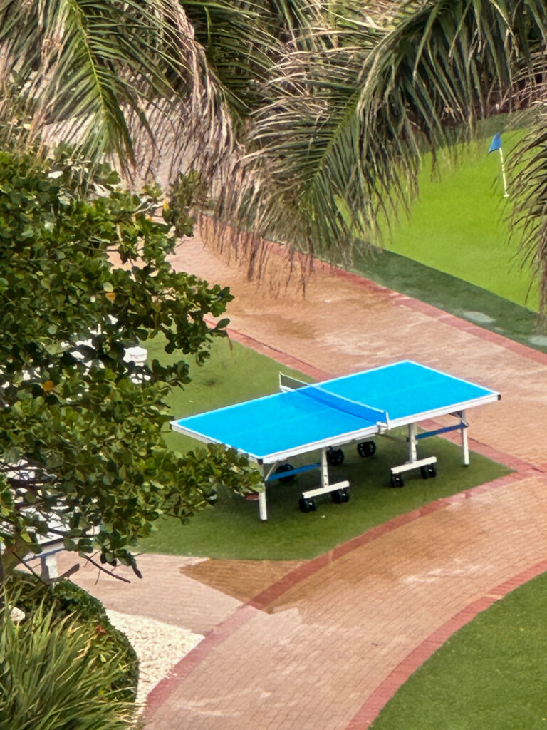 An outdoor table-tennis table on the lawn, seen from above