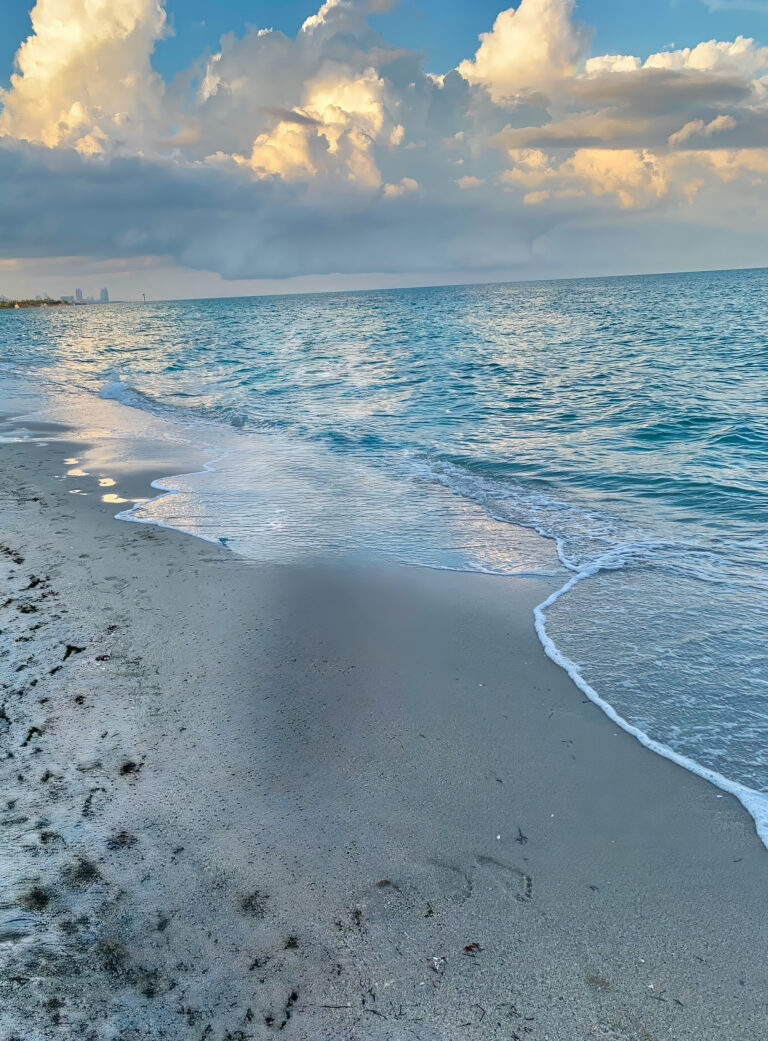 The shoreline at dusk, the last light holding on the wet sand
