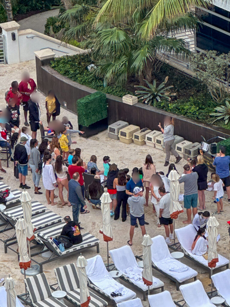Guests gathered on the sand beside the pool deck for a morning activity, striped loungers in the foreground