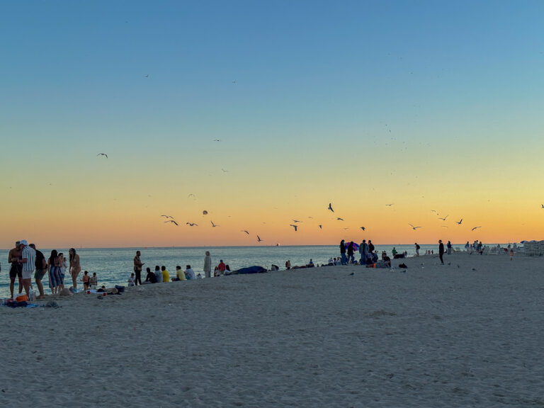 Beachgoers and gulls on the sand at sunset as the sky fades from gold to blue