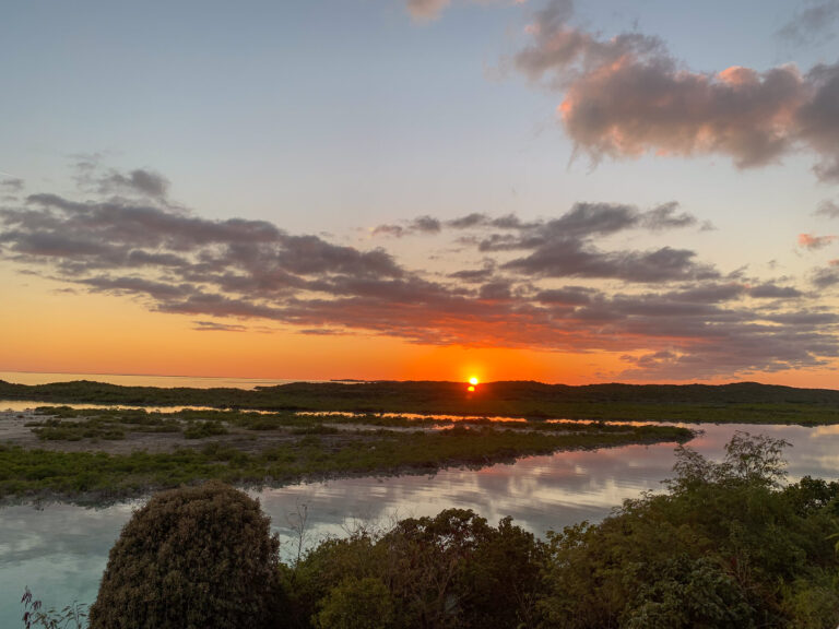 The sun dropping behind the mangroves, cloud picking up the colour