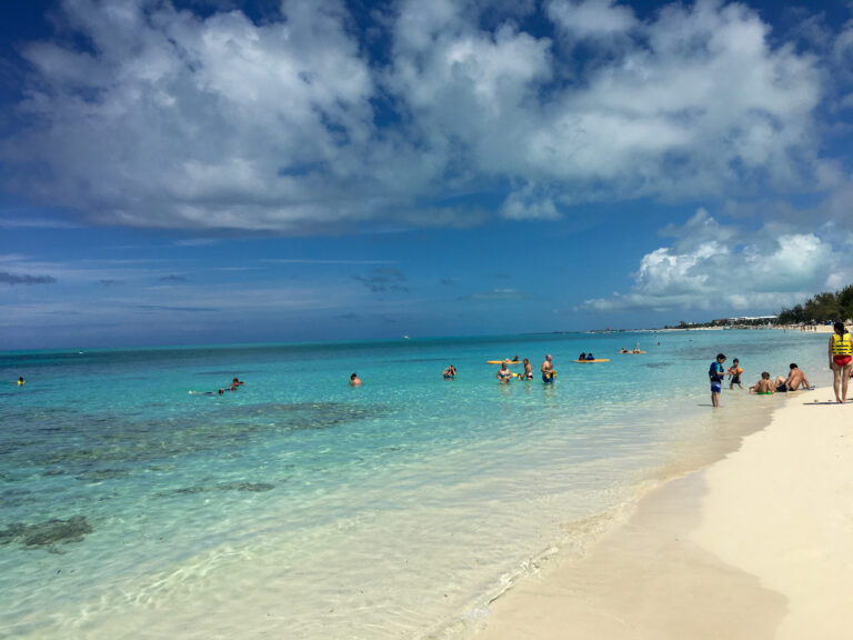 Swimmers and paddlers in the shallow water off the sand