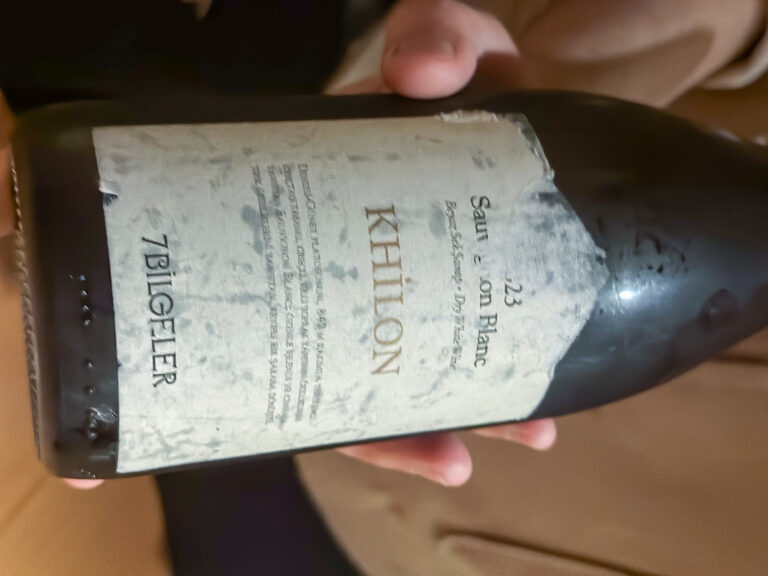 A bottle of Khilon sauvignon blanc held up, its label facing out