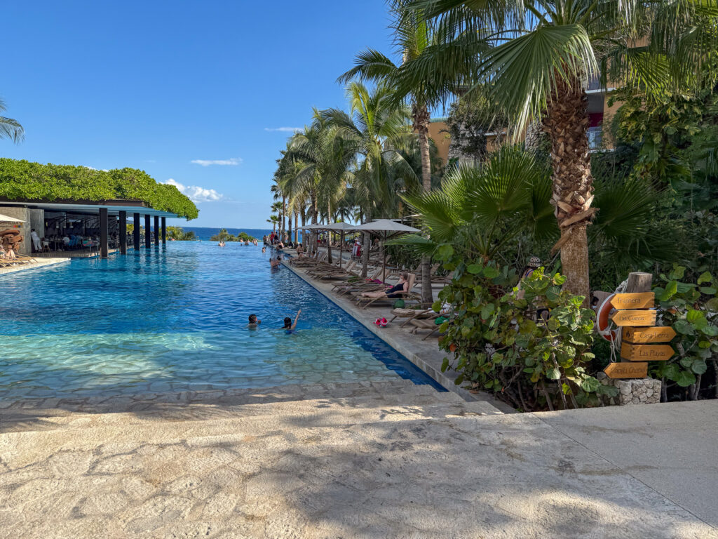The long pool running along the shore, palms and loungers down one side