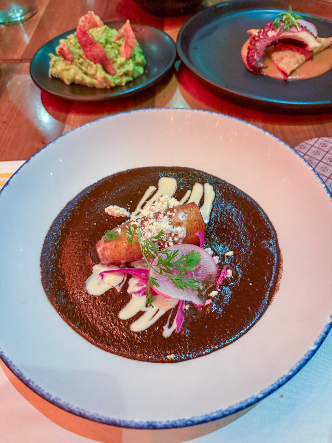 A dish set in a dark mole sauce on a blue-rimmed plate