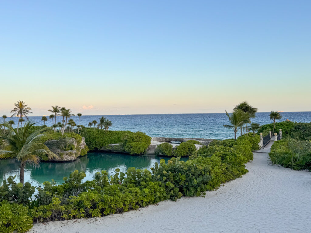 A sand path through low planting, opening onto the sea
