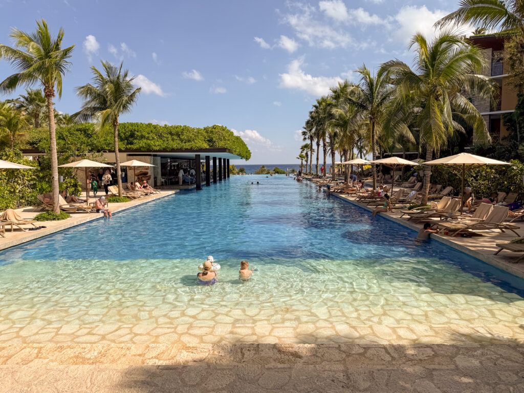 A long infinity pool along the shore, loungers and palms down one side