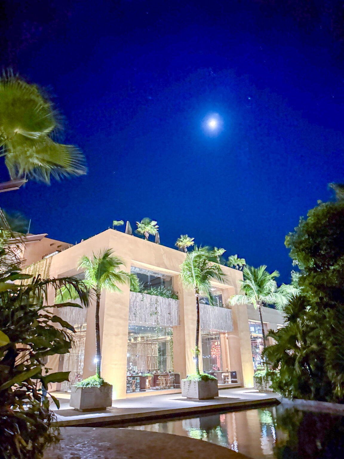 The lobby building lit at night, the moon above the palms