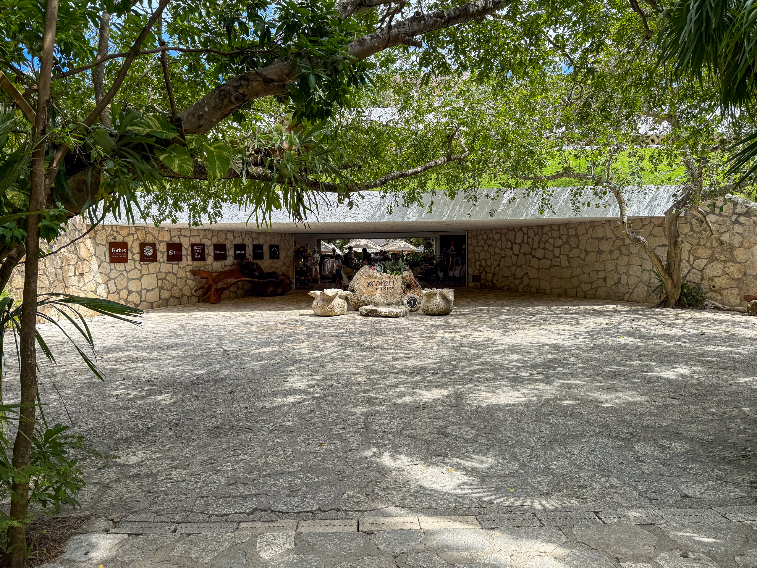 A shaded stone terrace under the trees, the low wall of the building behind