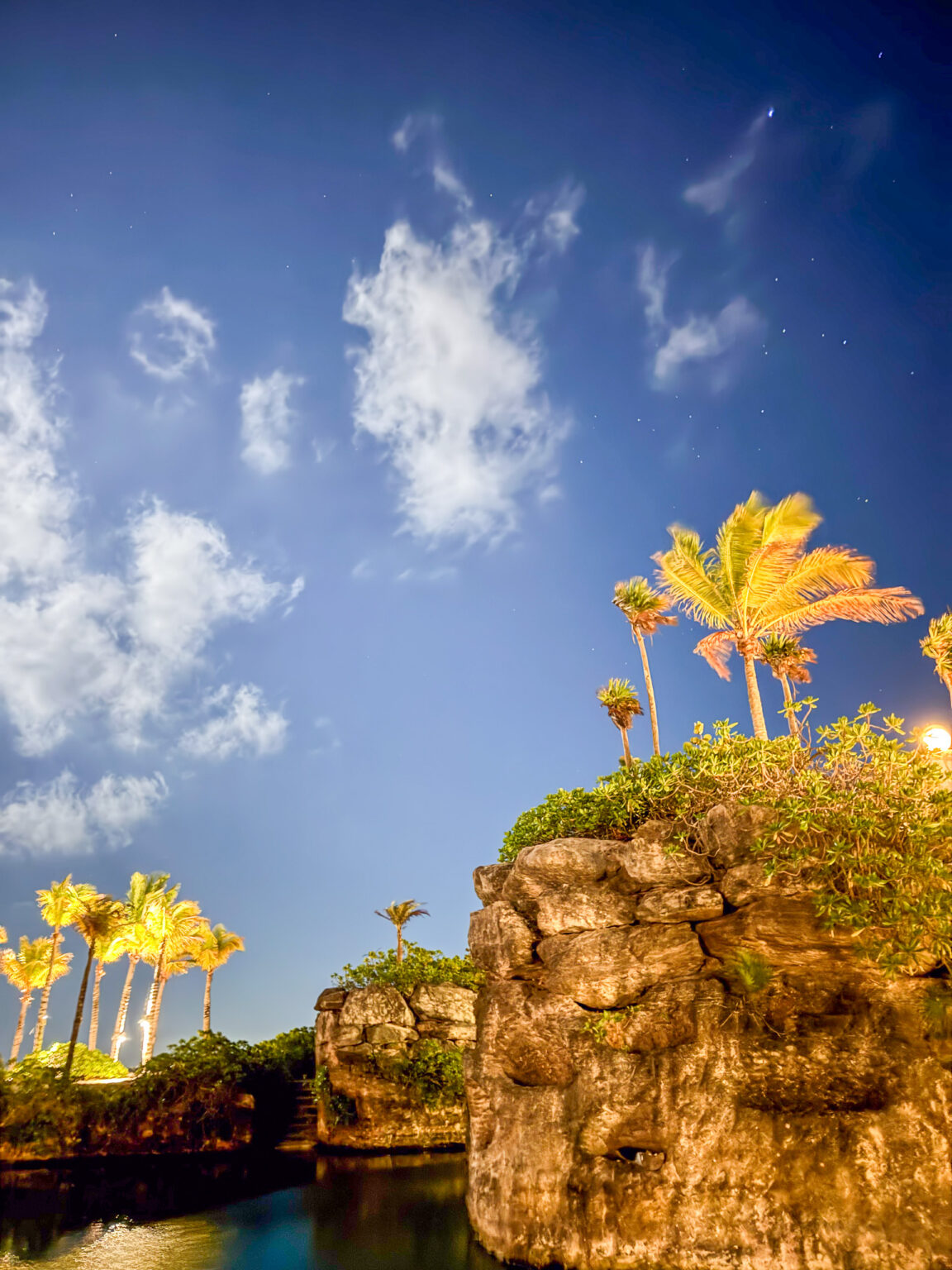 Palms above the cut stone under a bright sky